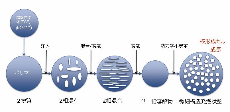 Mucell気泡生成プロセス