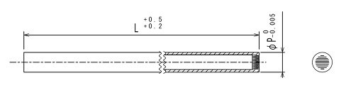 CSタイプガストース